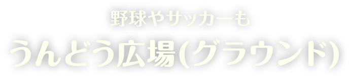 野球やサッカーも うんどう広場（グラウンド）