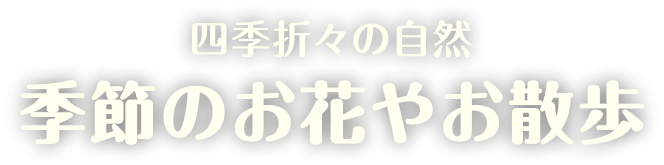 四季折々の自然 季節のお花やお散歩