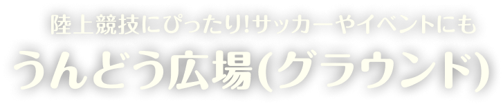 陸上競技にぴったり！サッカーやイベントにも うんどう広場（グラウンド）