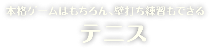 本格ゲームはもちろん、壁打ち練習もできる テニス